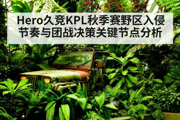 Hero久竞KPL秋季赛野区入侵节奏与团战决策关键节点分析